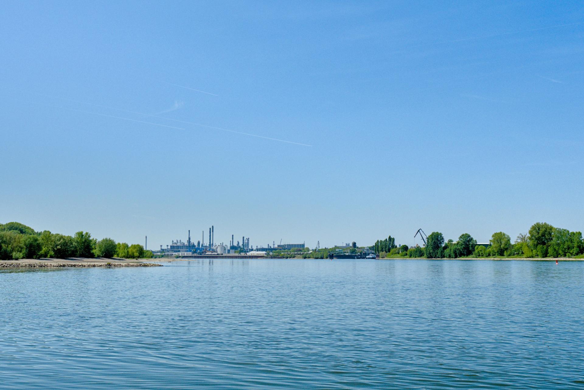 Fleuve : le Rhin